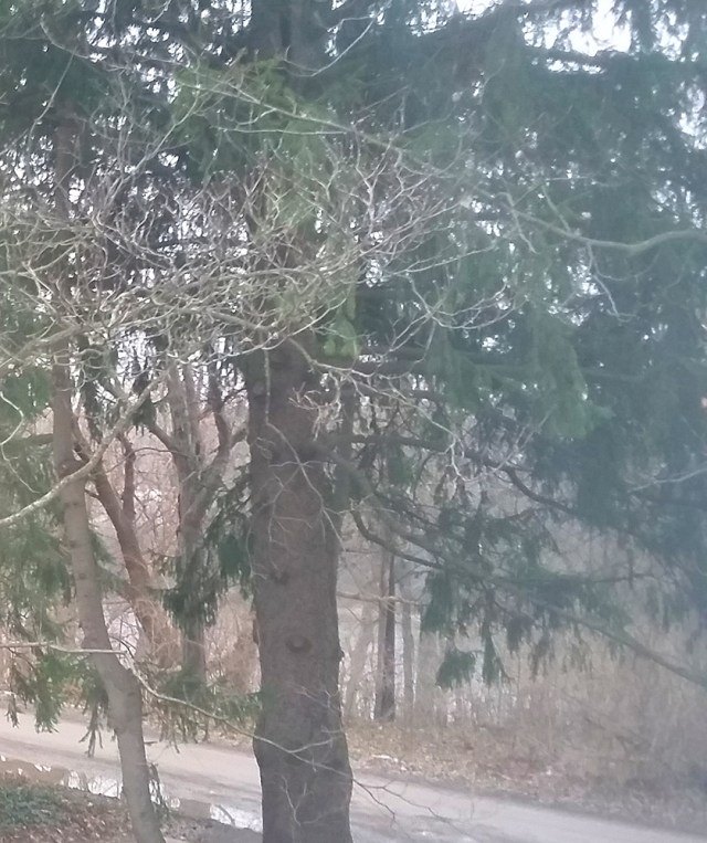 OutsideNewYearsEve2015